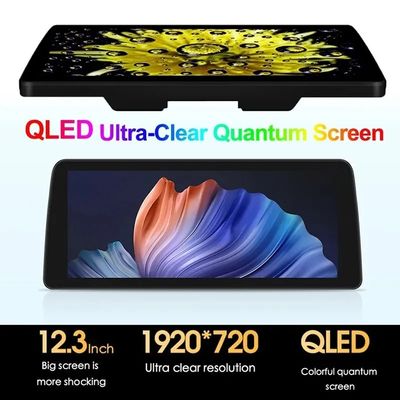 12.3'' QLED Screen 4G LTE Wifi DSP Carplay Android Auto 2Din Car Radio Para BMW/Benz/Audi Universal